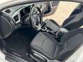 Kia KIA Ceed Pequeño  Manual de 5 Puertas Blanc - thumbnail 22