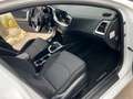 Kia KIA Ceed Pequeño  Manual de 5 Puertas Blanc - thumbnail 29