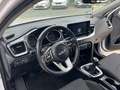 Kia KIA Ceed Pequeño  Manual de 5 Puertas Blanc - thumbnail 21