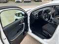 Kia KIA Ceed Pequeño  Manual de 5 Puertas Blanc - thumbnail 19