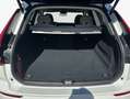 Volvo XC60 XC60 B5 B AWD Core Weiß - thumbnail 6