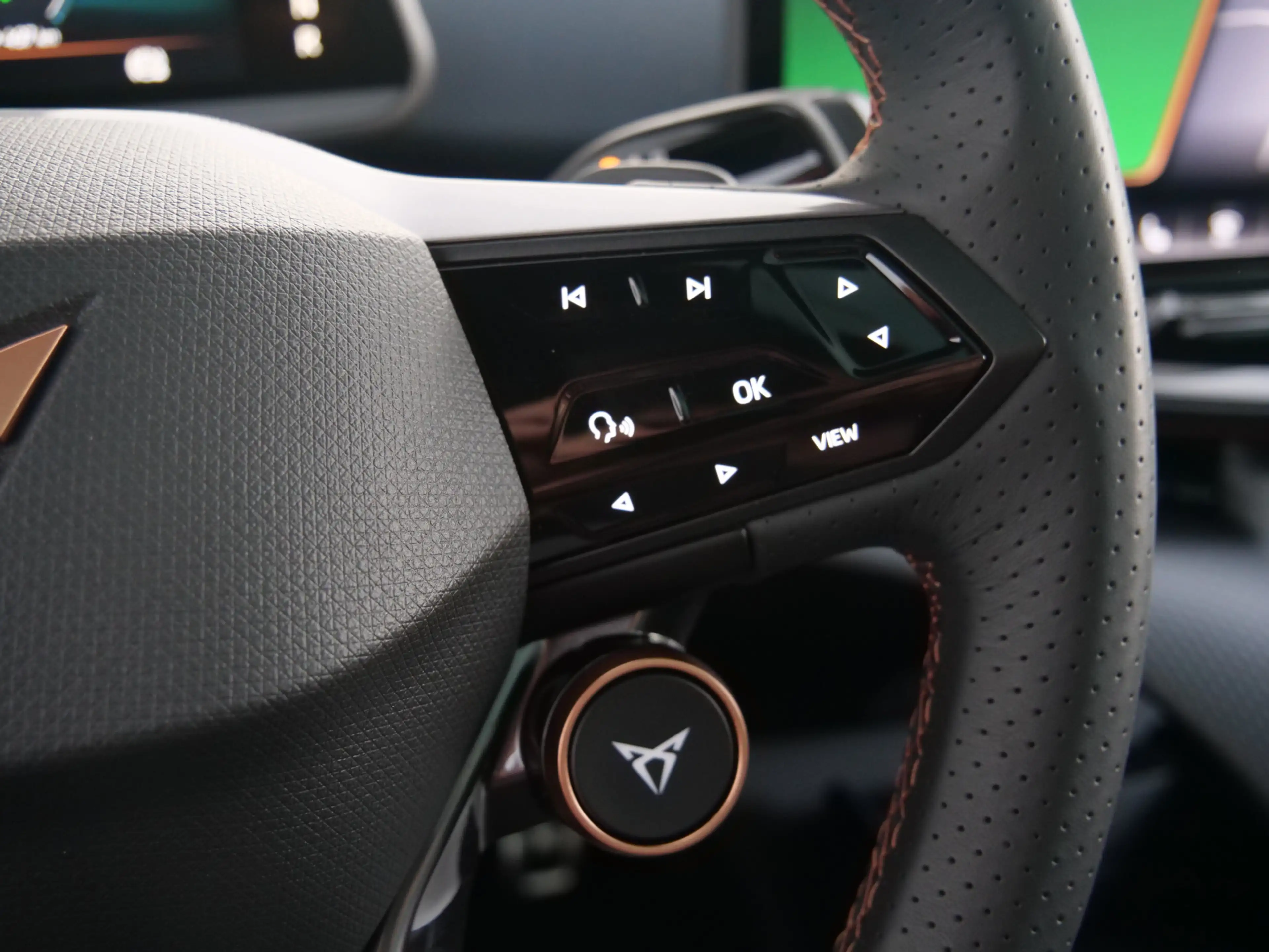 CUPRA Tavascan Adrenaline 82 kWh 286 Pk Automaat Warmtepomp / DAB — photo 19
