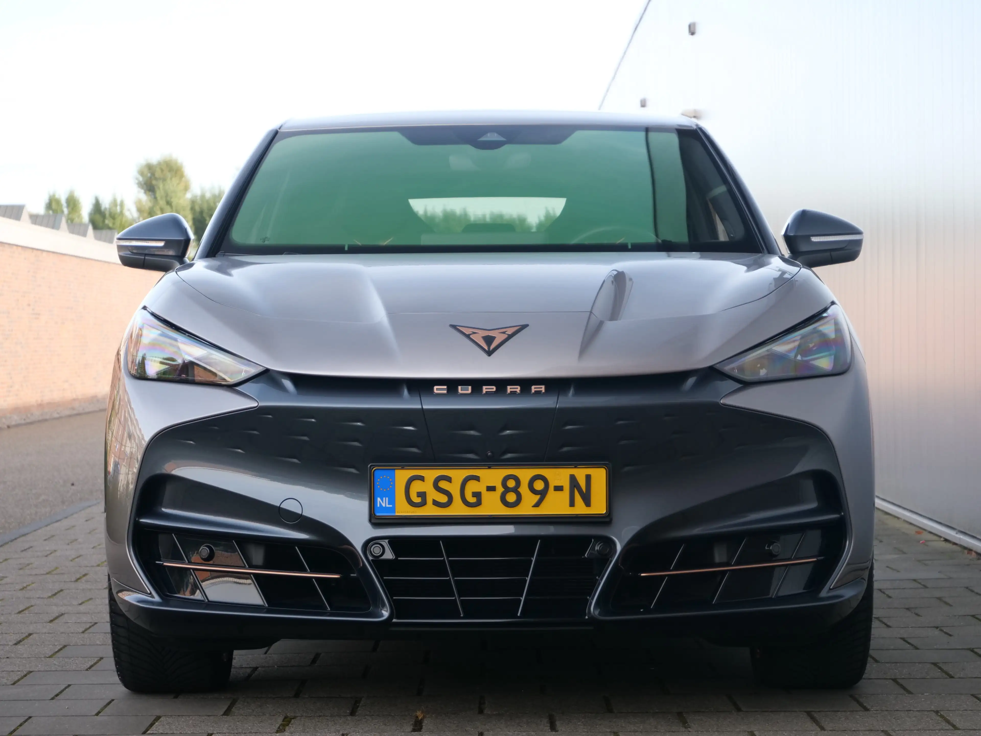 CUPRA Tavascan Adrenaline 82 kWh 286 Pk Automaat Warmtepomp / DAB — photo 5