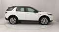 Land Rover Discovery Sport 2.0d i4 mhev HSE awd 150cv 7p.ti auto Bianco - thumbnail 6