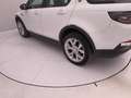 Land Rover Discovery Sport 2.0d i4 mhev HSE awd 150cv 7p.ti auto Bianco - thumbnail 34