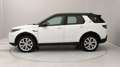 Land Rover Discovery Sport 2.0d i4 mhev HSE awd 150cv 7p.ti auto Bianco - thumbnail 2