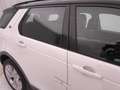 Land Rover Discovery Sport 2.0d i4 mhev HSE awd 150cv 7p.ti auto Bianco - thumbnail 47