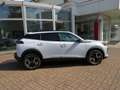 Peugeot 2008 PureTech 100 S&S Allure (PRONTA CONSEGNA) Bianco - thumbnail 2
