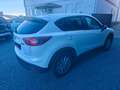 Mazda CX-5 Center-Line 2WD Weiß - thumbnail 5