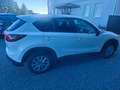Mazda CX-5 Center-Line 2WD Weiß - thumbnail 6