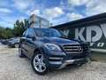 Mercedes-Benz ML 250 ML 250 BlueTEC 4MATIC 7G-TRONIC Grau - thumbnail 1