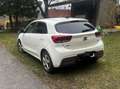 Kia Rio Rio 1,0 TGDI Gold ISG Gold Weiß - thumbnail 1