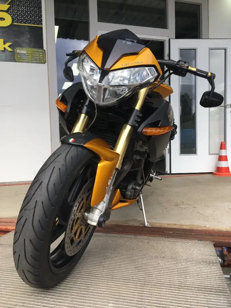 Benelli TNT 1130 Cafe Racer Gold - 2
