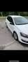 Volkswagen Polo 1.6 TDi  pack style !! Wit - thumbnail 3
