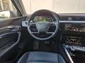 Audi e-tron E-tron|Dak|Leer| 55 quattro Pro Line Plus 95 kWh Grijs - thumbnail 5