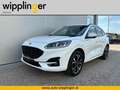 Ford Kuga ST-Line X Hybrid 2.5 Duratec PHEV AT LP € 56.202,- Weiß - thumbnail 1