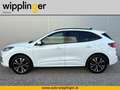 Ford Kuga ST-Line X Hybrid 2.5 Duratec PHEV AT LP € 56.202,- Weiß - thumbnail 2