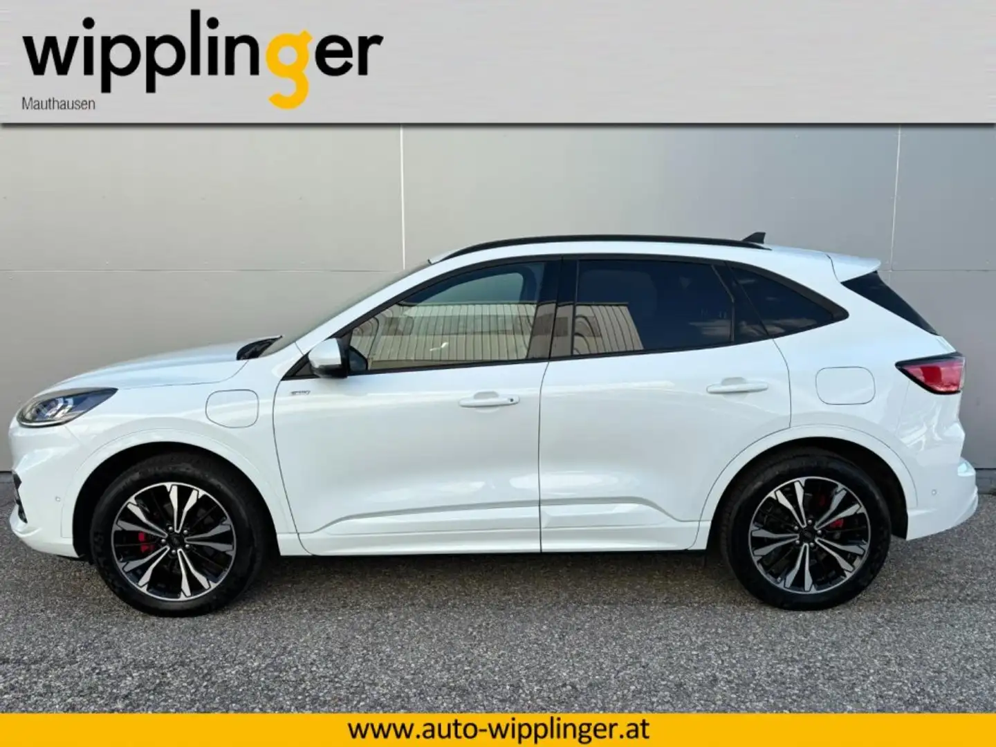 Ford Kuga ST-Line X Hybrid 2.5 Duratec PHEV AT LP € 56.202,- Weiß - 2