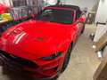 Ford Mustang Mustang 5,0 Ti-VCT V8 GT Cabrio GT Rot - thumbnail 2