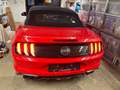 Ford Mustang Mustang 5,0 Ti-VCT V8 GT Cabrio GT Rot - thumbnail 7