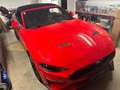 Ford Mustang Mustang 5,0 Ti-VCT V8 GT Cabrio GT Rot - thumbnail 3