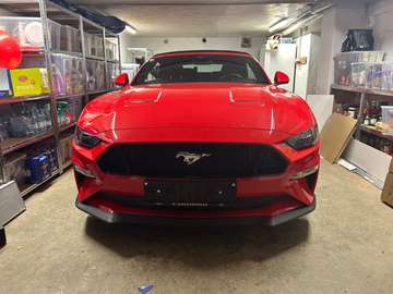 Mustang 5,0 Ti-VCT V8 GT Cabrio GT