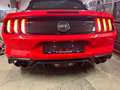 Ford Mustang Mustang 5,0 Ti-VCT V8 GT Cabrio GT Rot - thumbnail 6