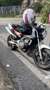 Honda Hornet Honda Hornet 600 colore Bianco e Rosso Blanco - thumbnail 1
