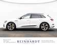 Audi e-tron 55 2x S LINE BLACK ACC/HuD/PANO/B&O/360° Blanc - thumbnail 12