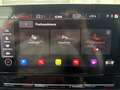 CUPRA Formentor 1.4 TSI eHybrid AHK Mem ACC Navi LED Apple Grau - thumbnail 27