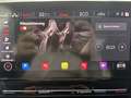 CUPRA Formentor 1.4 TSI eHybrid AHK Mem ACC Navi LED Apple Grau - thumbnail 35
