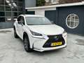 Lexus NX 300h NX300h AWD Sport Line Bílá - thumbnail 15