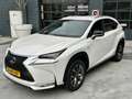 Lexus NX 300h NX300h AWD Sport Line Blanco - thumbnail 17