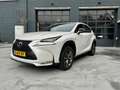 Lexus NX 300h NX300h AWD Sport Line Blanc - thumbnail 18