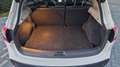 Nissan Qashqai Qashqai Diesel 1.6 dCi 4x4 360° Pano Nav Leder Alb - thumbnail 11