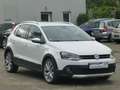 Volkswagen Polo CrossPolo-KLIMA-ALU-1.HAND-SCHECKHEFT Blanc - thumbnail 3