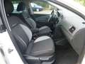 Volkswagen Polo CrossPolo-KLIMA-ALU-1.HAND-SCHECKHEFT Blanc - thumbnail 12