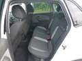 Volkswagen Polo CrossPolo-KLIMA-ALU-1.HAND-SCHECKHEFT Blanc - thumbnail 10