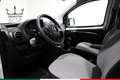 Fiat Qubo 1.4 8v Lounge 77cv Bianco - thumbnail 8
