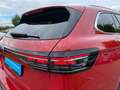 Volkswagen Passat Elegance 2.0 TDI StandHZG AHK Panodach Navi Rouge - thumbnail 11