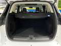 Ford Kuga 2.0TDCi Titanium S 4x4 Powershift 163 Blanco - thumbnail 44