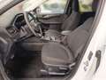 Ford Kuga 1.5 EcoBoost TITANIUM  *NAVI*HUD*ACC*AWR* Weiß - thumbnail 8
