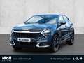 Kia Sportage Spirit Plug-in Hybrid 4WD Navi Digitales Cockpit L Grau - thumbnail 1