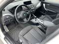 BMW 116 116d Msport 5p Bianco - thumbnail 13