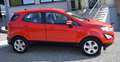 Ford EcoSport 1.0 ecoboost Connect 100cv Rosso - thumbnail 4