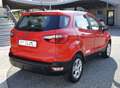 Ford EcoSport 1.0 ecoboost Connect 100cv Rosso - thumbnail 5
