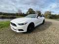 Ford Mustang Cabrio 2.3 Eco Boost Wit - thumbnail 10
