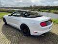 Ford Mustang Cabrio 2.3 Eco Boost Wit - thumbnail 2