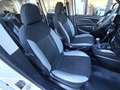 Fiat Doblo Doblo 1.6 mjt 16v Lounge 120cv my18 - thumbnail 10