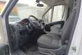 Fiat Ducato 35 2.3 MJT 130CV PC-TN Furgone VETRATO 7 POSTI Weiß - thumbnail 5
